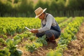 Dairy Farm Jobs in Japan for Foreigners